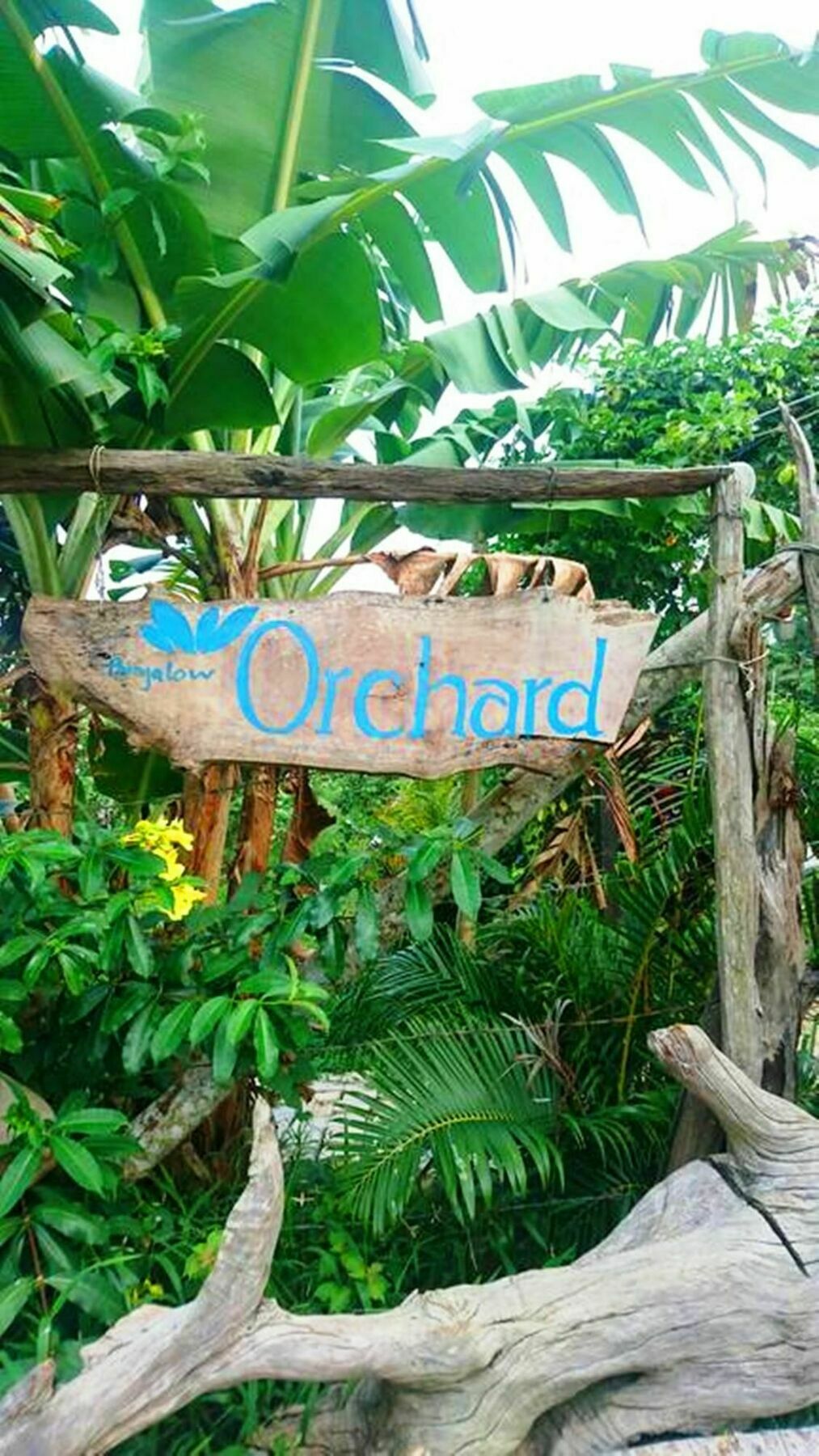 Orchard Fruit Farm Bungalow Phú Quốc Eksteriør billede