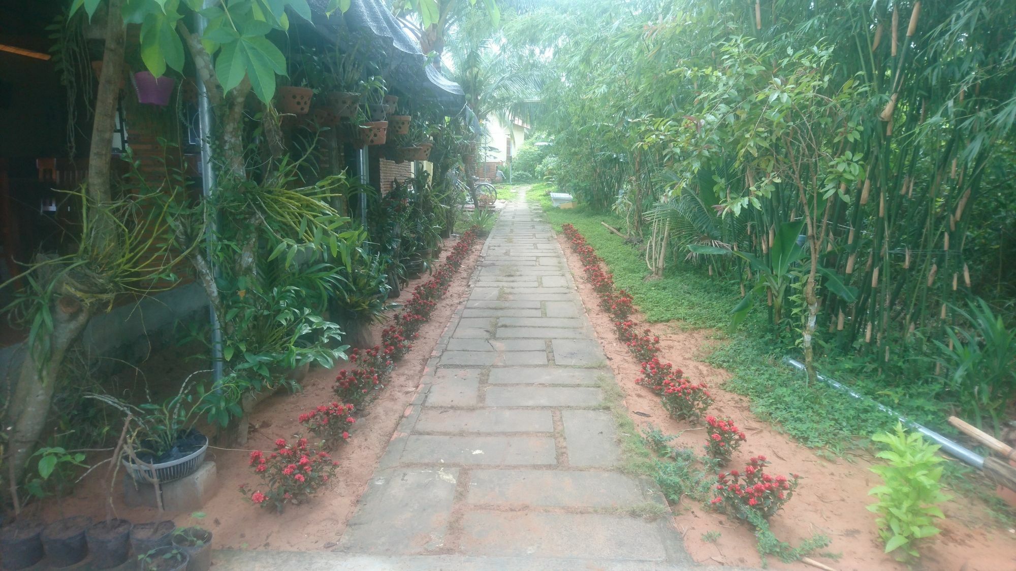 Orchard Fruit Farm Bungalow Phú Quốc Eksteriør billede